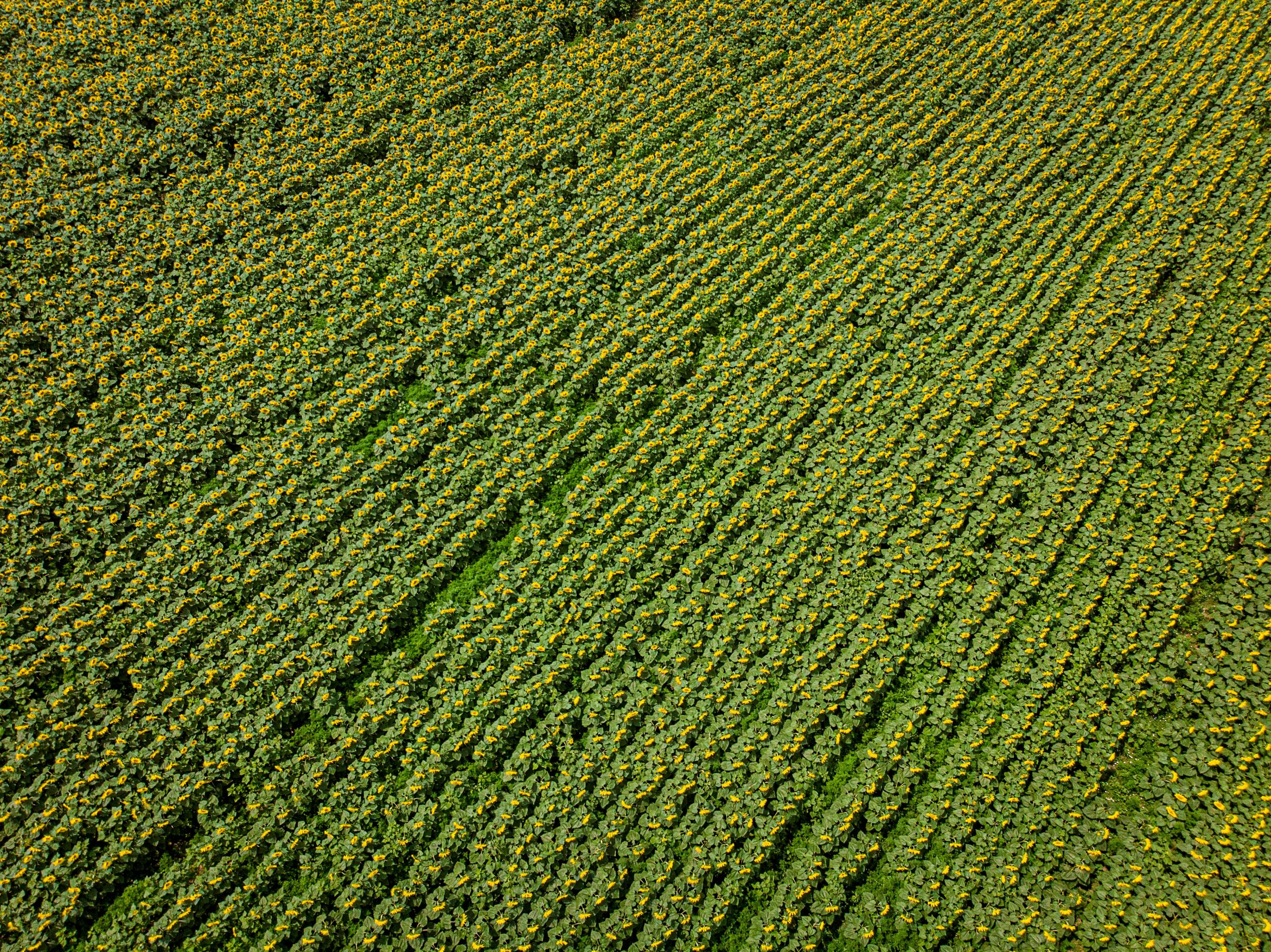 Climate Targets 2040: Bridging Modelling and Policy