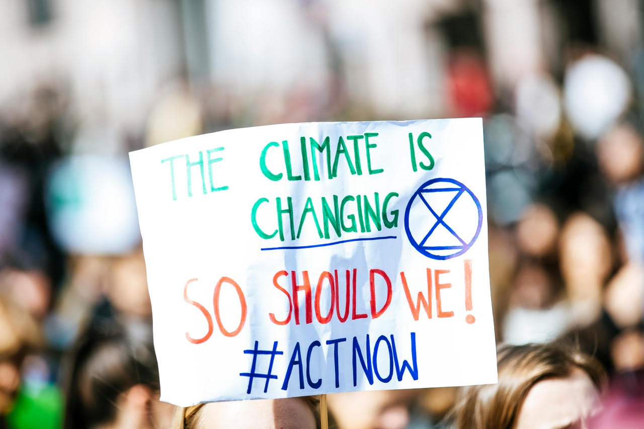 Influenced yet resilient: acceptance of climate change solutions by European citizens in the face of uncertainty